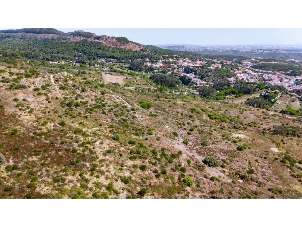 Terreno Rústico à Venda - Fontainhas, Alcabideche (Cascais)-7