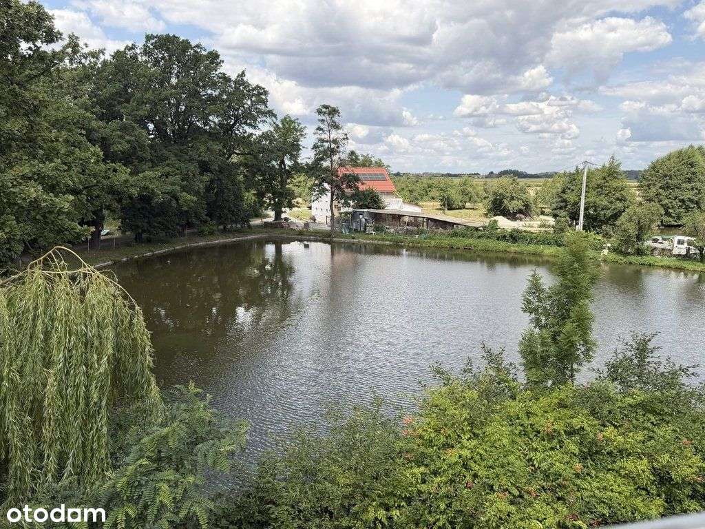 Dom zarządcy 1868 nad stawem wsród starodrzewia-12