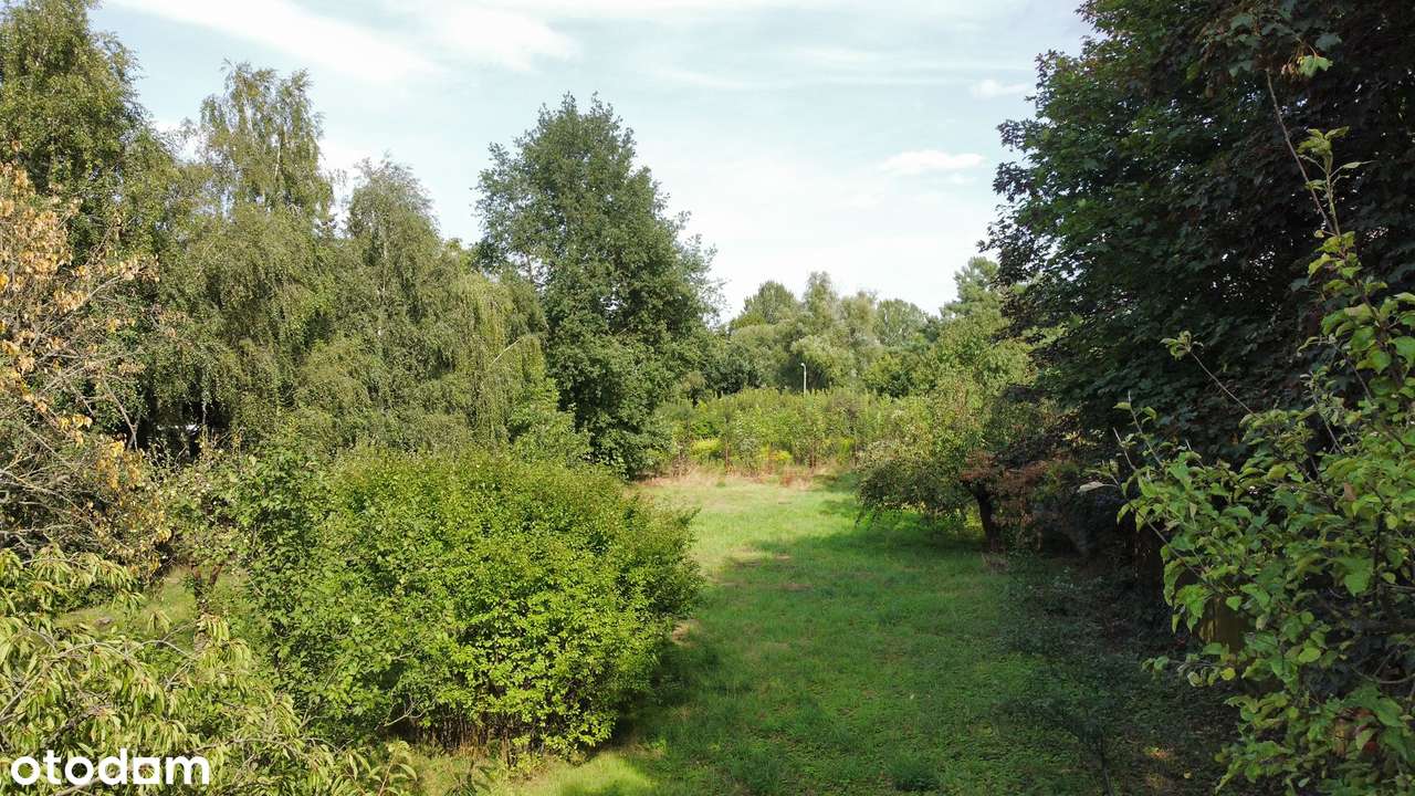 ul. Wrzesińska na sprzedaż dom dwulokalowy 199m2, działka 3056m2-5