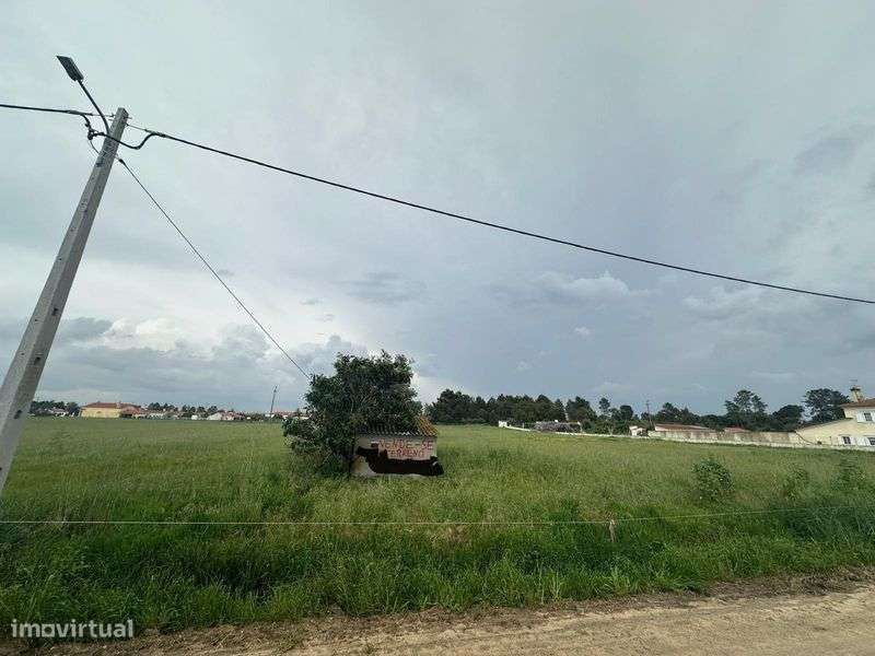 Terreno em Salvaterra de Magos - Grande imagem: 4/4