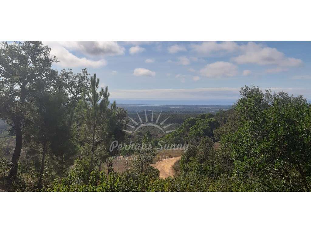 Terreno rústico vista mar - Grande imagem: 5/16