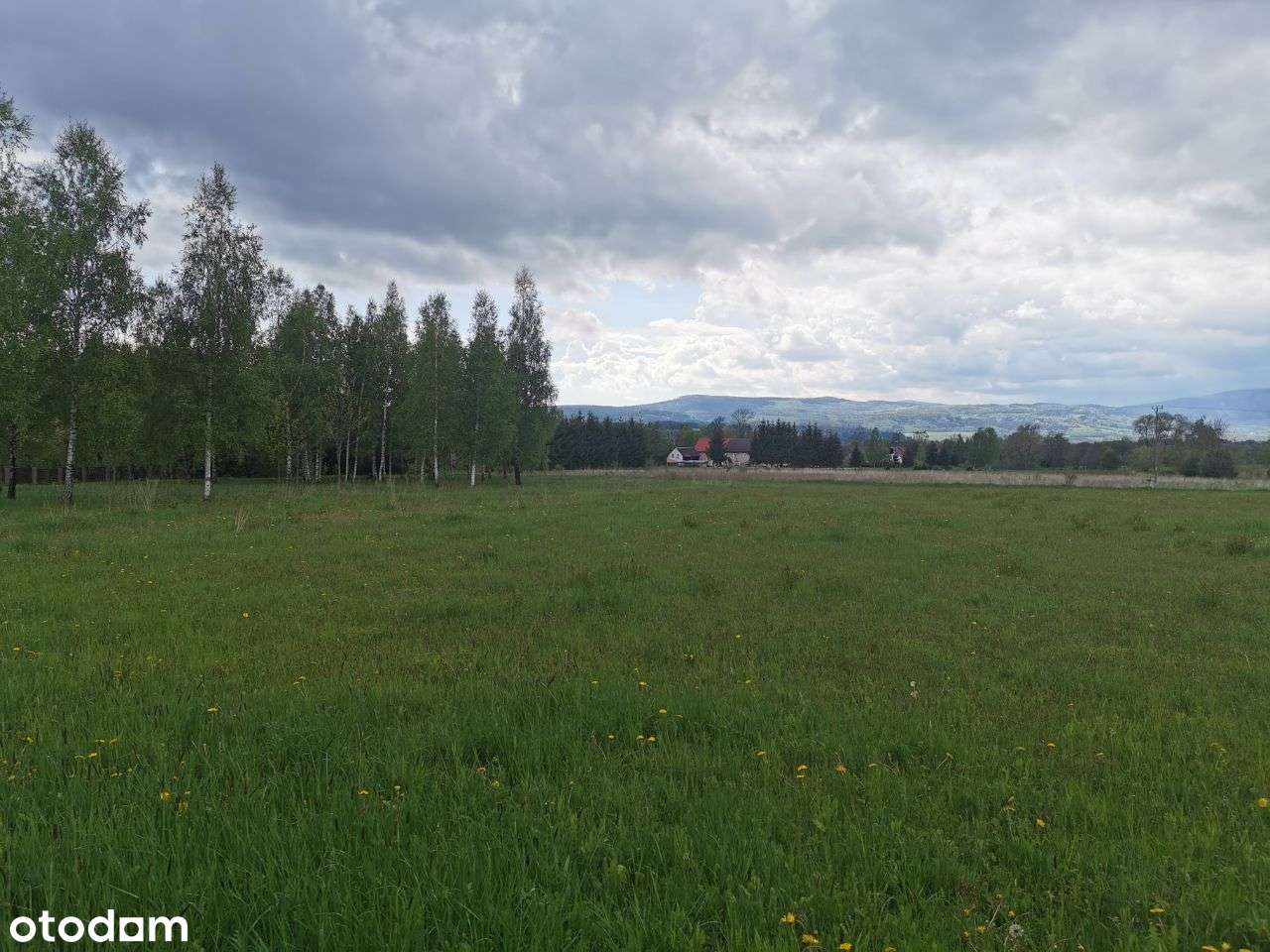 KOTLINA KŁODZKA działki BUDOWLANE!- możl .mniejsza - Pełny obrazek: 5/10