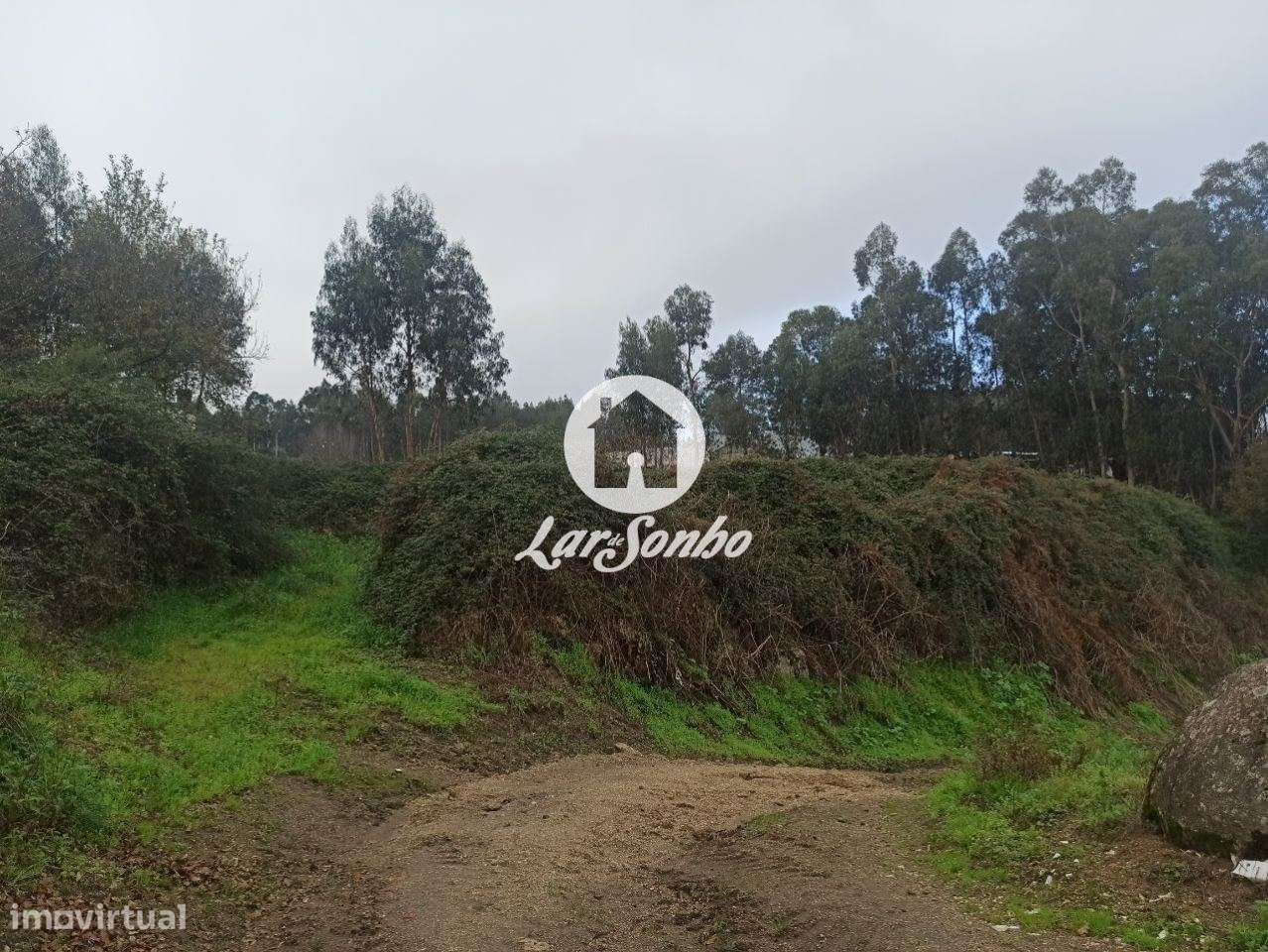 Terreno para Construção de moradias - Grande imagem: 5/28