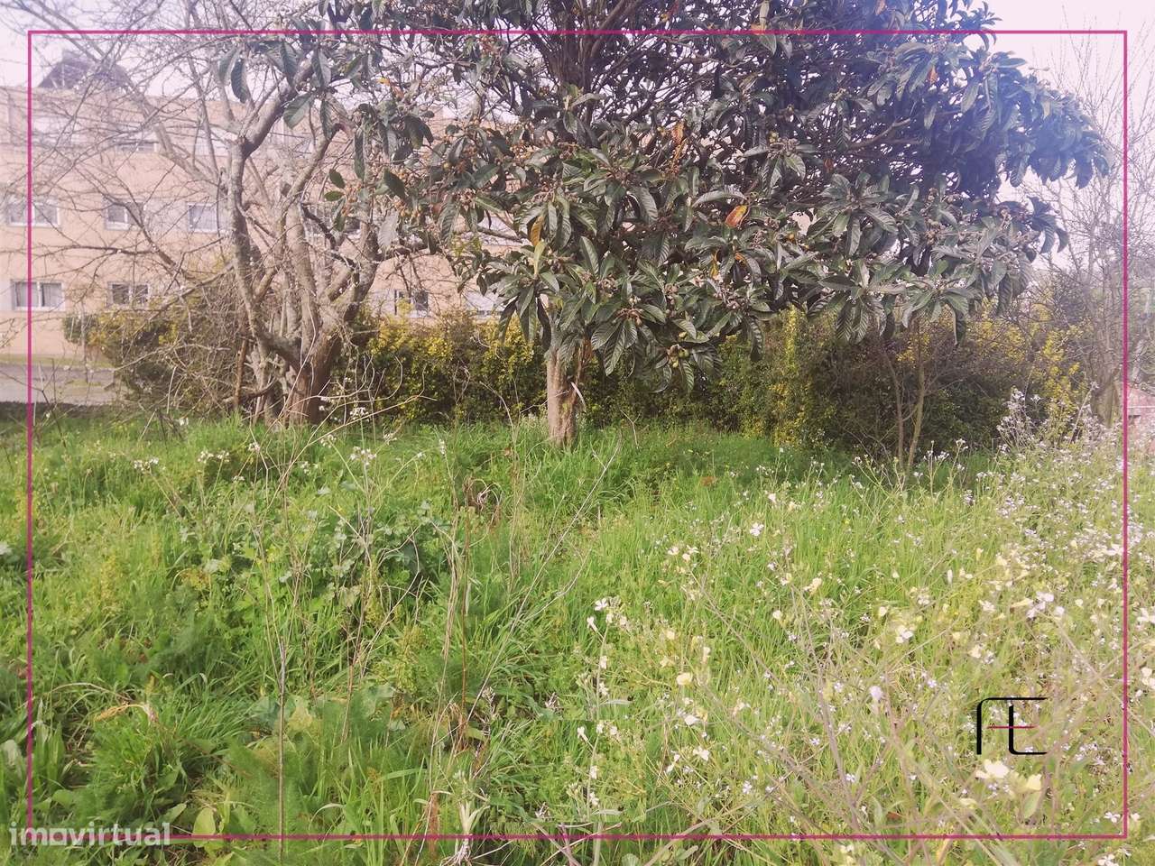 Terreno Urbano  Venda em Custóias, Leça do Balio e Guifões,Matosinhos - Grande imagem: 4/22