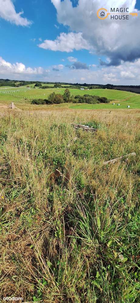 Idealny kształt, warunki zabudowy - Kaszuby ! - Pełny obrazek: 5/20