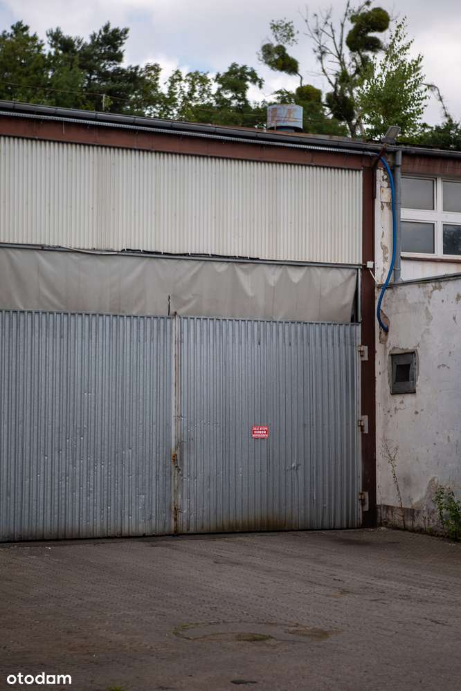 Hala-Magazynowo - Produkcyjna 3100,30m2 Bydgoszcz-7