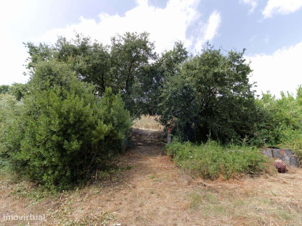 Moradia V2 Terreno Poço-30