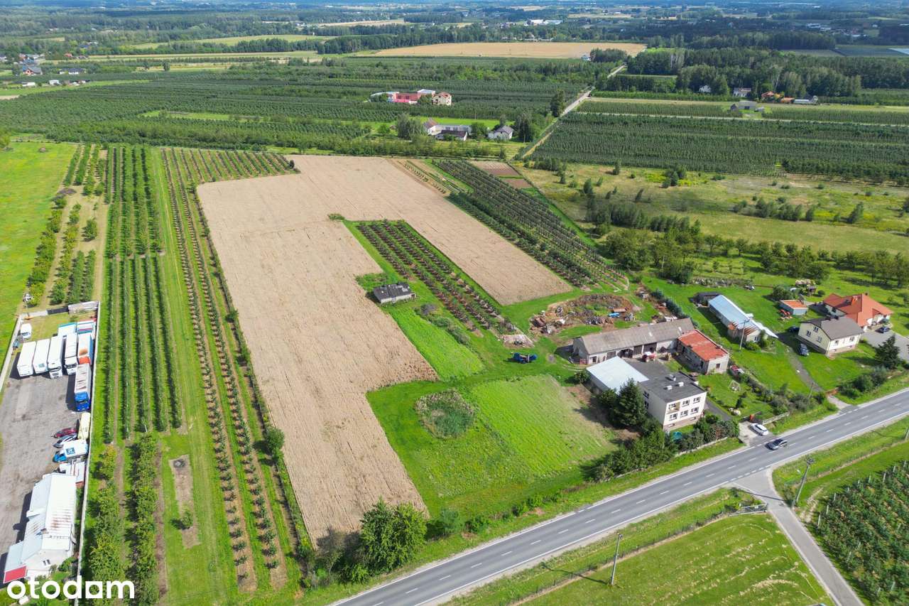 Gospodarstwo z potencjałem inwestycyjnym - Pełny obrazek: 4/12