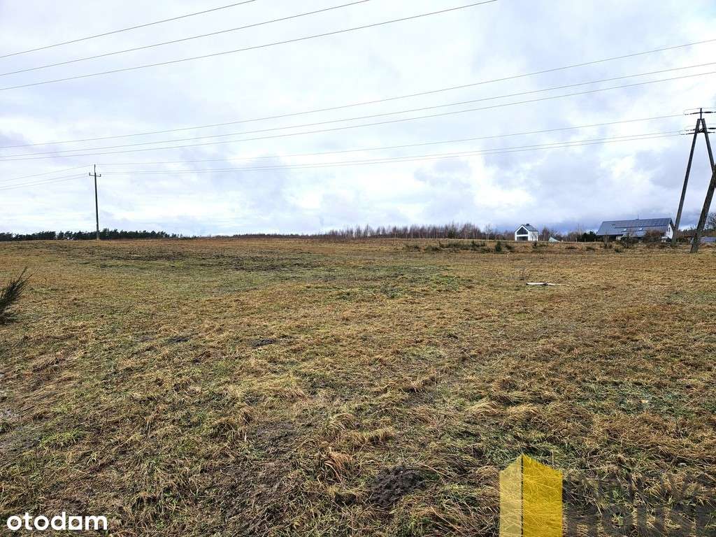 Działka 5 km od Słupska Niewierowo gm. Redz 9306m2 - Pełny obrazek: 4/6