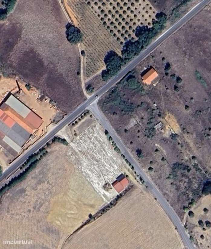 Terreno Rústico com 4.720 m² – Palhagueira | Santarém - Grande imagem: 5/6