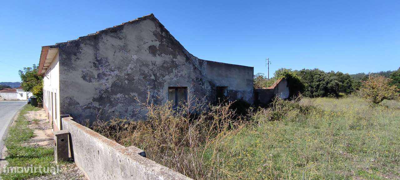 "Quintinha" de 5.100 m² na Moita Poço - Turquel-7