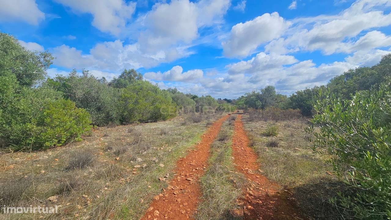 Terreno | Rústico | Plano | 11360m2 | São Bartolomeu de Messines - Grande imagem: 5/10