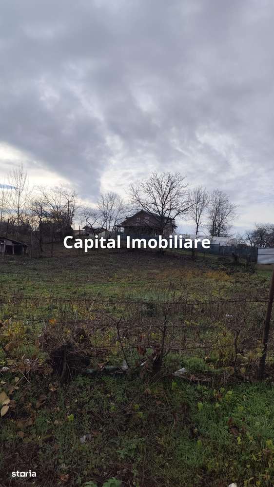 Teren Intravilan Baicoi 1061 mp - Imagine principală: 4/6