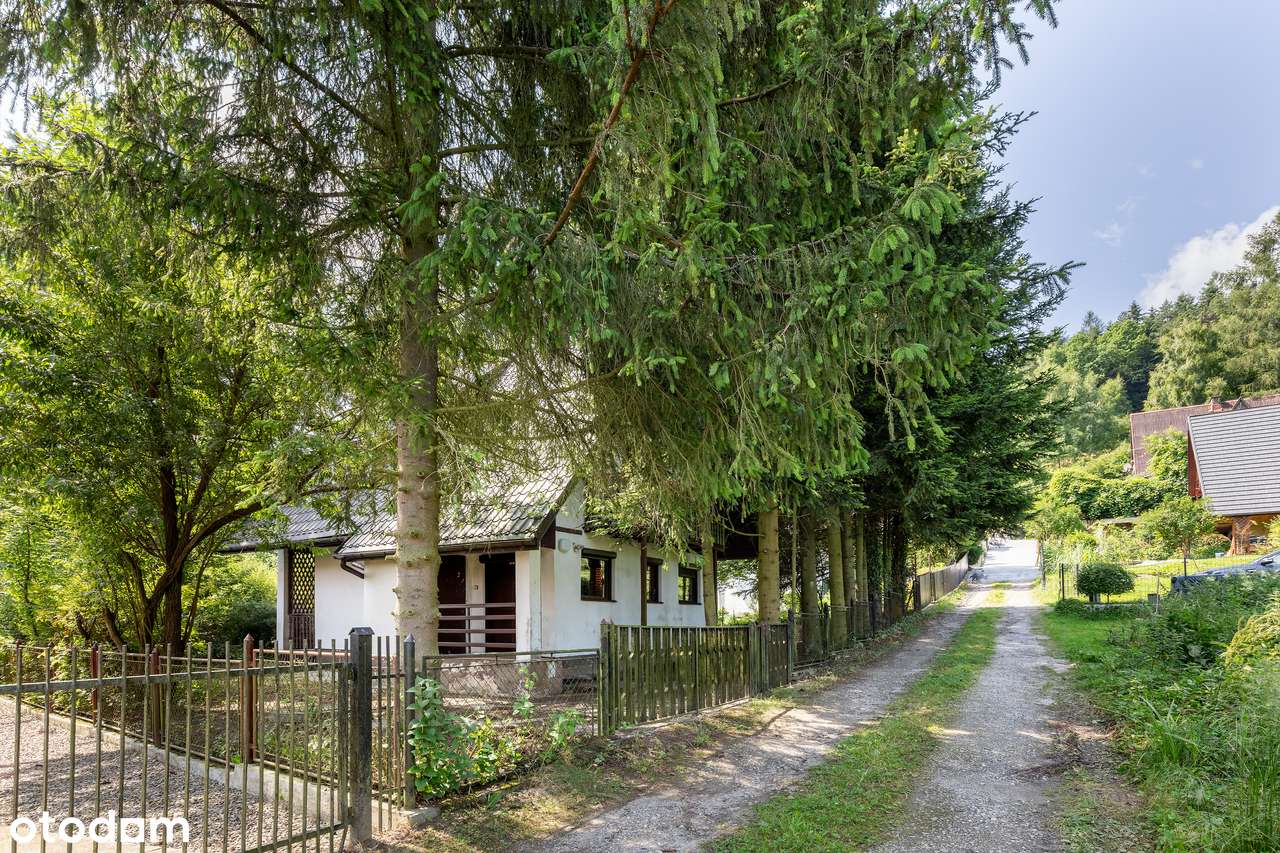 Dom letniskowy 70 m2 do remontu ok Dobczyc - Czasław-15