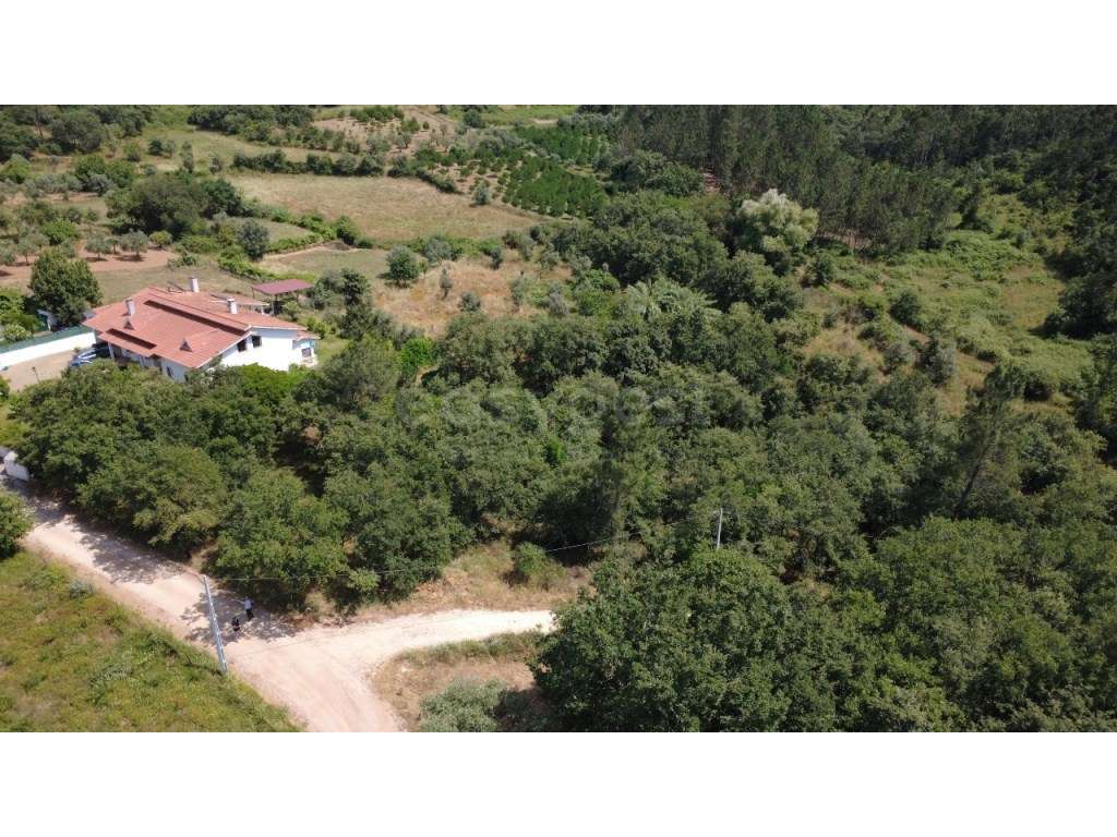 Venda Conjunta de dois terrenos urbanos - Grande imagem: 4/17