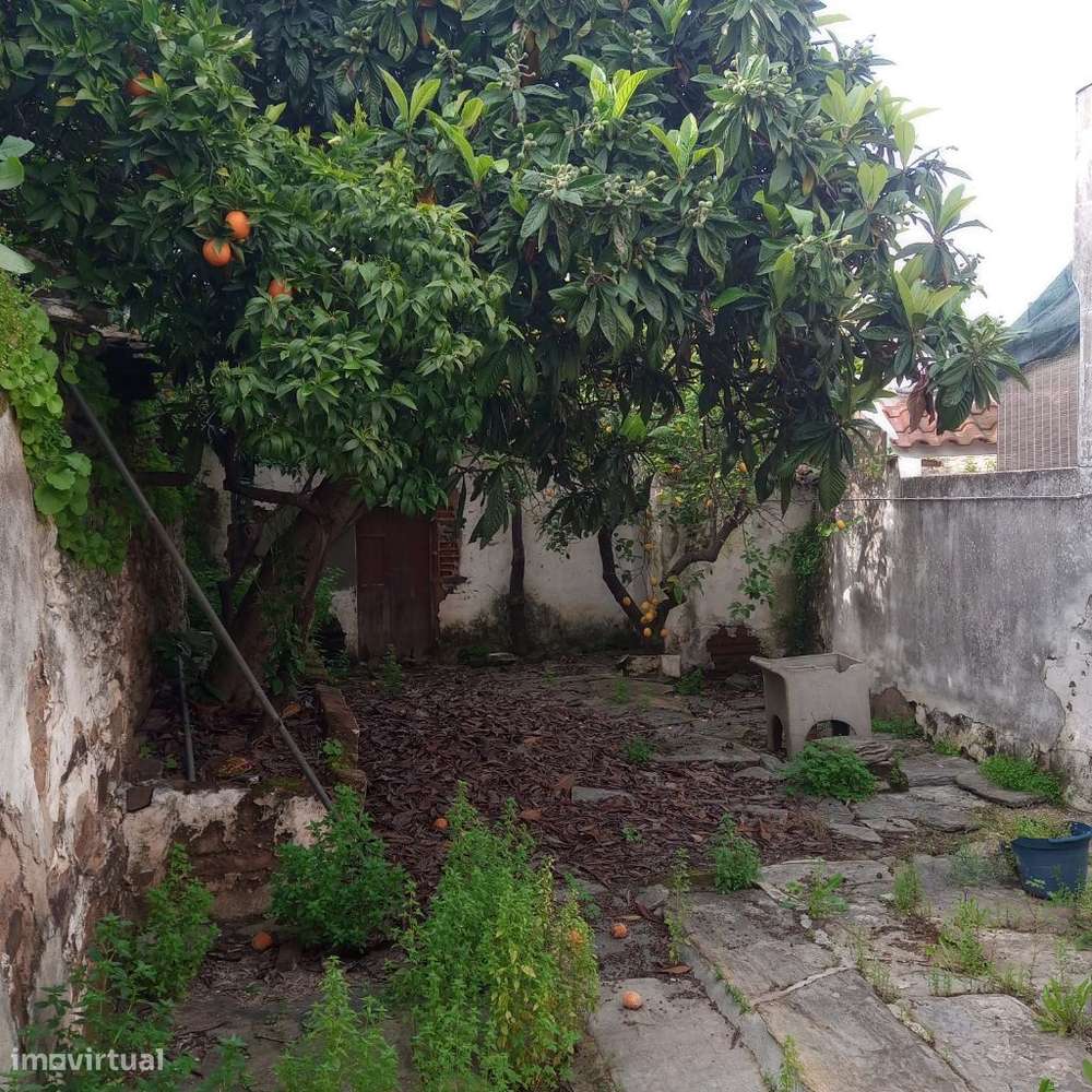 Casa Antiga em Mourão-27