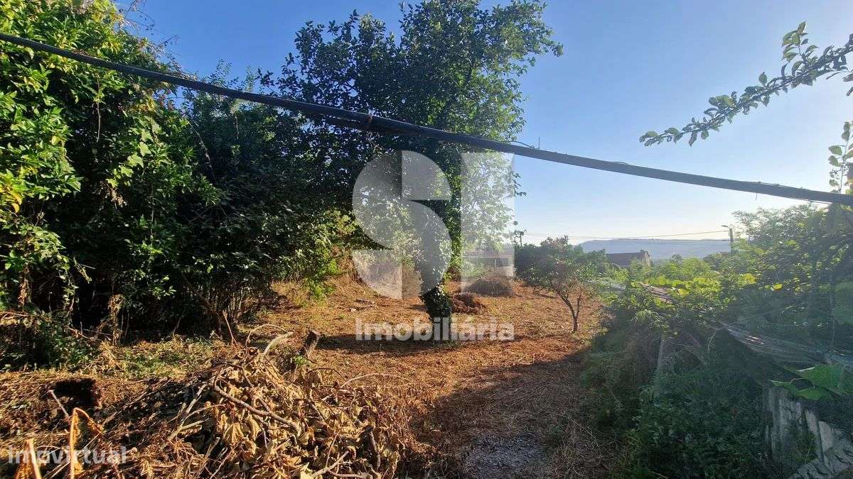 Terreno - potencial de investimento - Astromil - Paredes-31