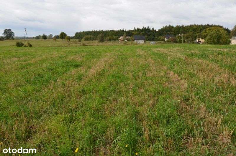 Działka rolna pod okolice Przywidz-5