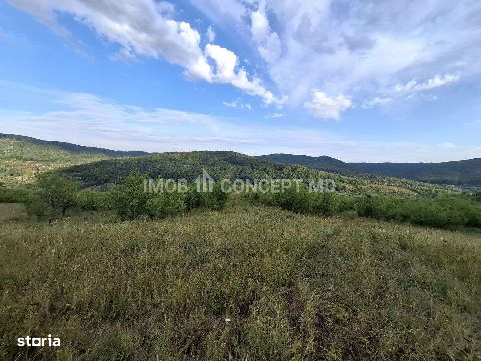 Teren spectaculos cu padure, livada si priveliste panoramica in Soimar-1