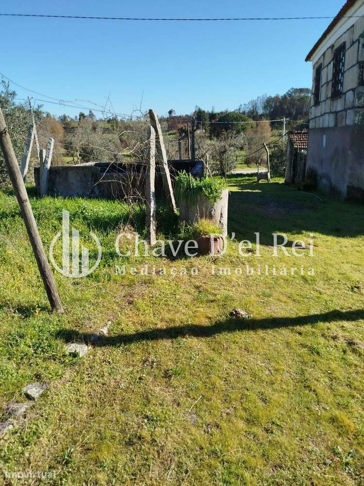 Quintinha T3 Venda em Espinho,Mangualde-7