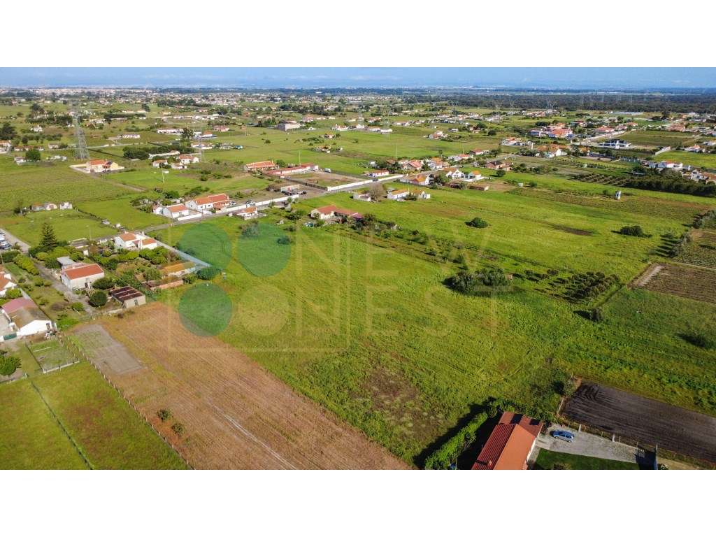 Construa duas casas num terreno único de 12.900m² em Arraiados-13