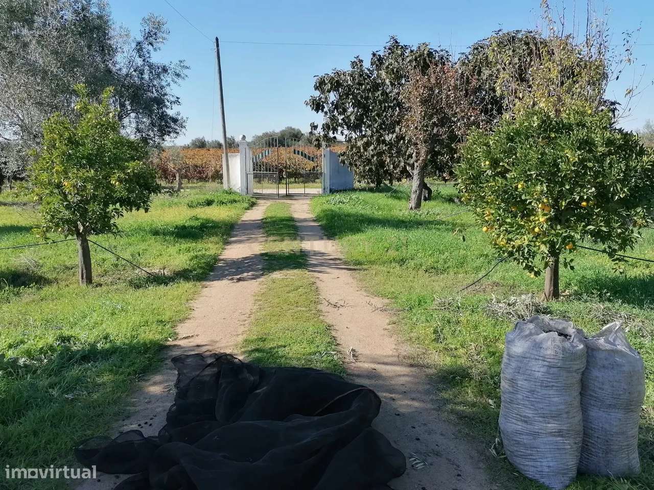 Quinta no Carapetal - Grande imagem: 4/47