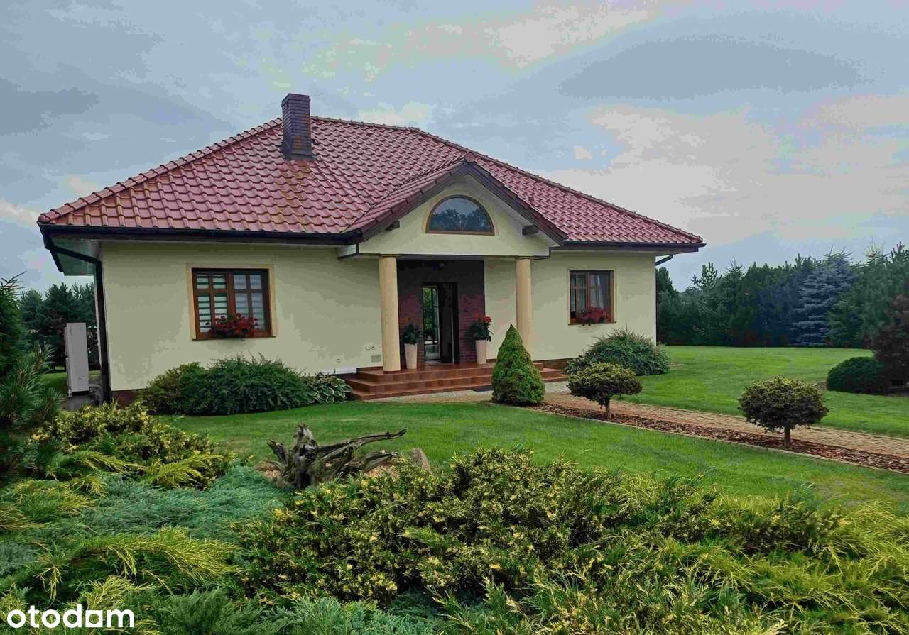 NOWY ZAMEK Piękny dom, duża działka z własnym stawem w Dolinie Baryczy-16