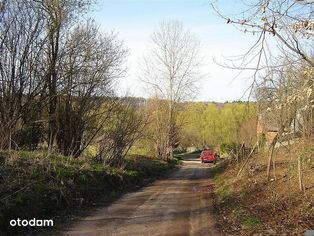 Rzeka Chotla . Działka rolna 3130 m2 .Las. Morze.