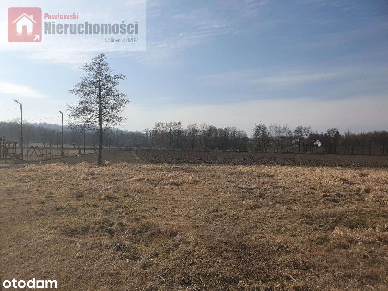 Działka, 1 306 m², Sosnowice - Pełny obrazek: 4/8