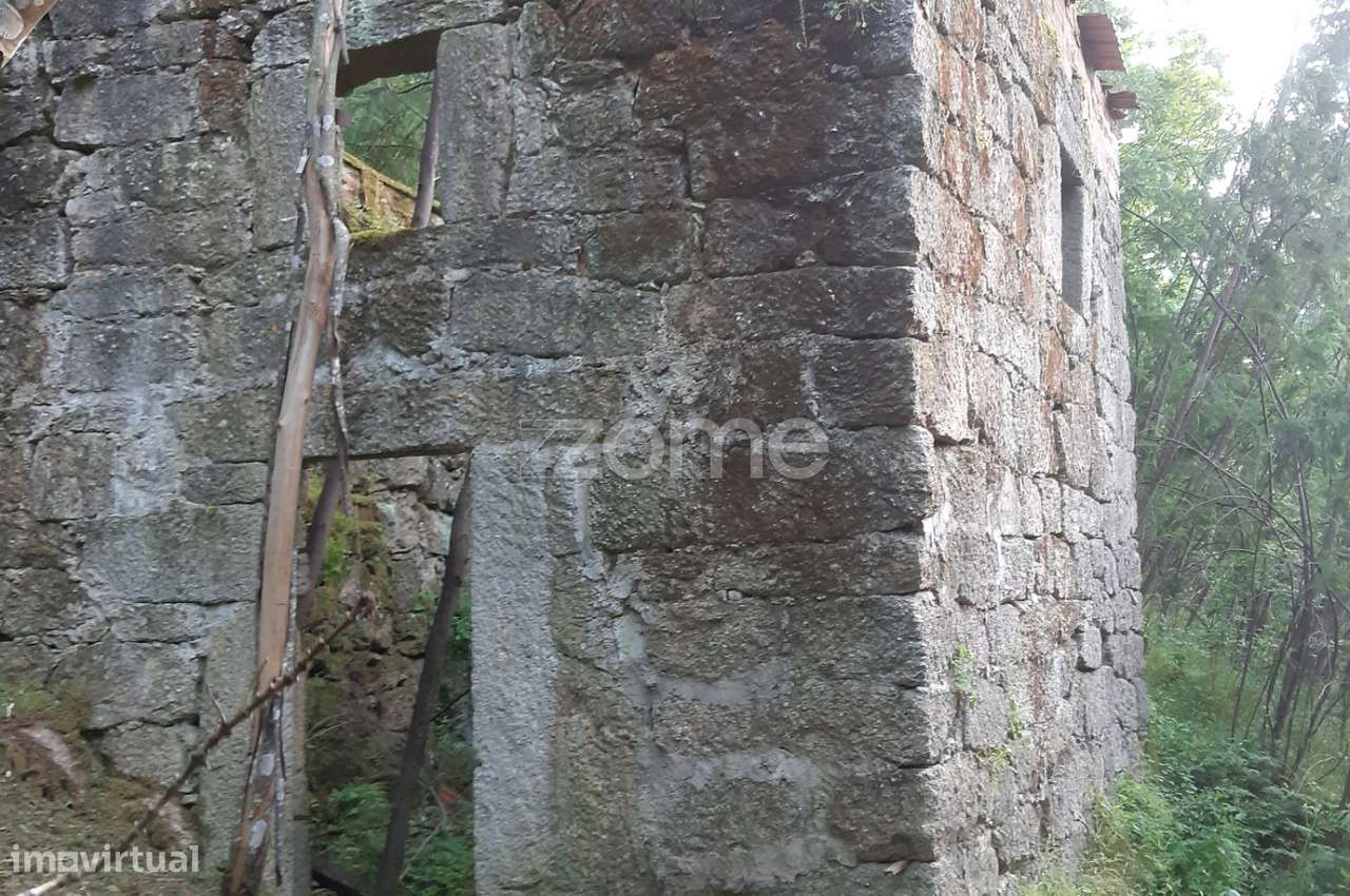 Quinta Junto ao rio Mondego - Grande imagem: 5/21