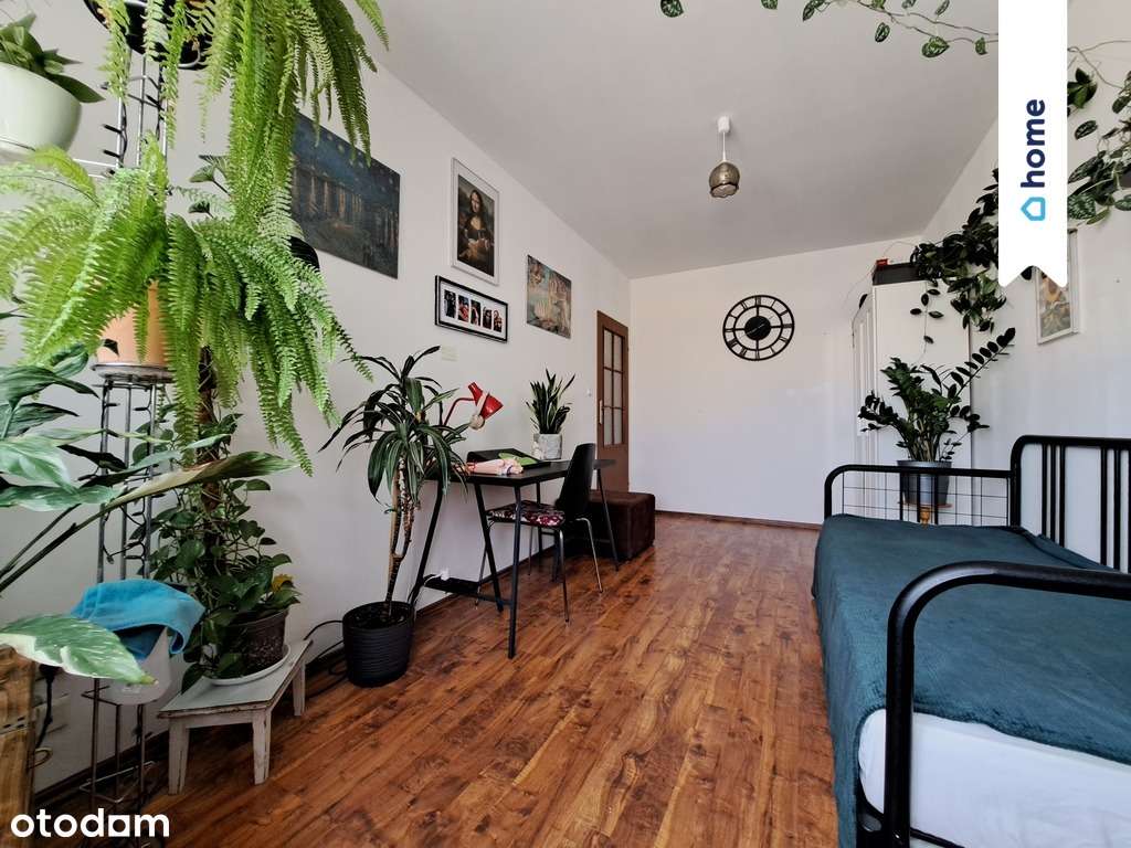 2 pok możliwy rozkład, balkon - Pełny obrazek: 2/10