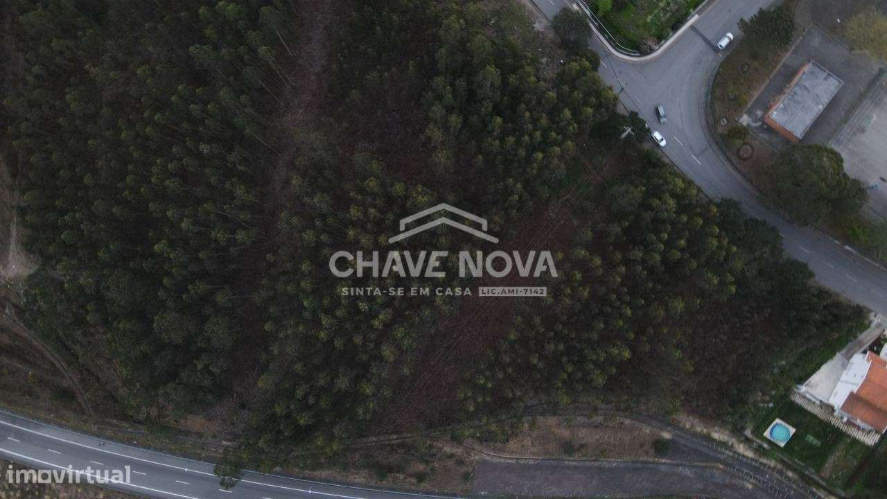 Terreno Rústico em Sandim, Vila Nova de Gaia - Grande imagem: 4/5