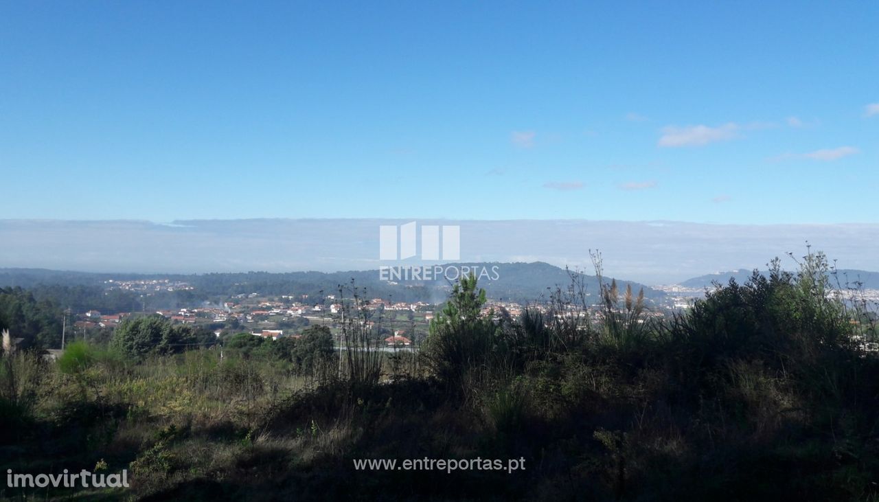 Venda de terreno florestal, Vila Franca, Viana do Castelo