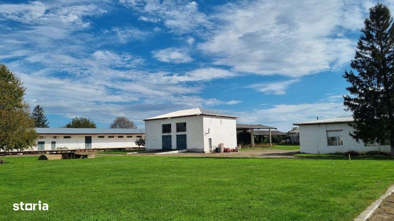 Hala de vânzare, 12772 mp - Imagine principală: 4/4