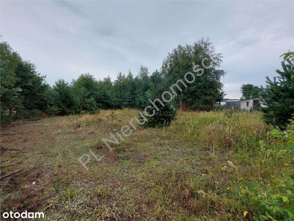 Działka Budowlana W Głuszy Rezerwatu-12