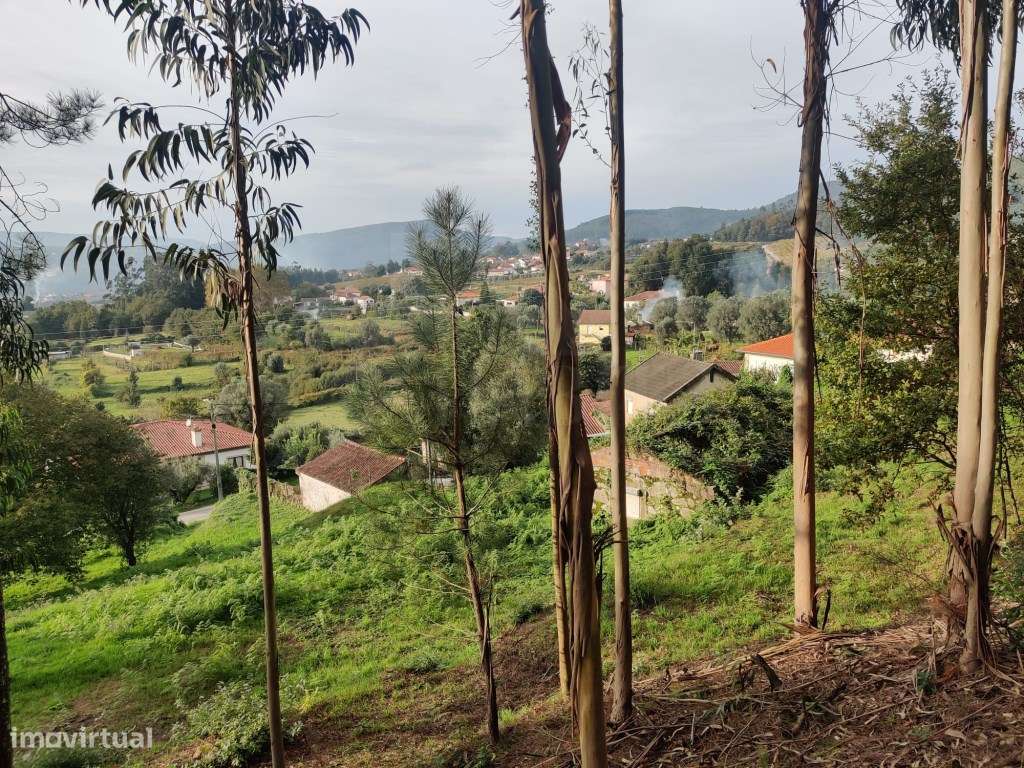 Terreno para construção, em Brandara - Grande imagem: 5/5