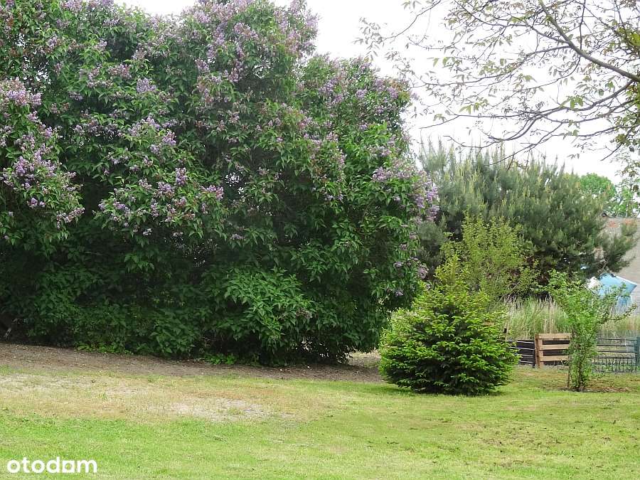 Trzebnica , 100m2 , 3 pokoje , 1 łazi, GARAŻ OGRÓD-19