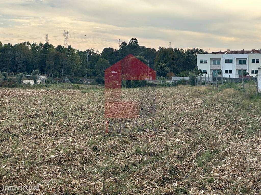 Quinta em Pedra, Soutelo - Grande imagem: 5/26