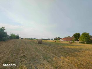 Działka 50a - Budziejowice ( pow. Proszowice ) - Pełny obrazek: 2/7