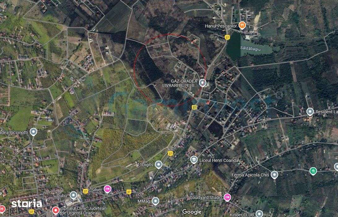 Gaminvest-Teren intravilan constructie case,Saldabagiu de Munte V3921 - Imagine principală: 3/5