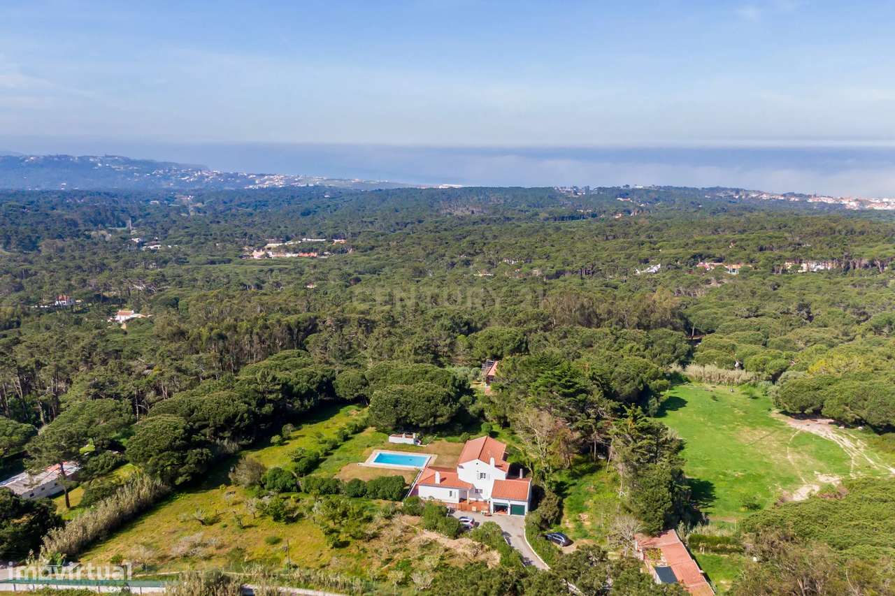 Quinta de 14000m2 com moradia T4 e piscina | Sintra-34