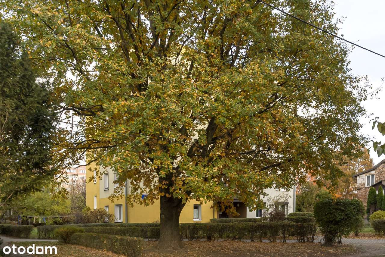 3 pokojowe, dla rodziny, Emili Plater 4-12