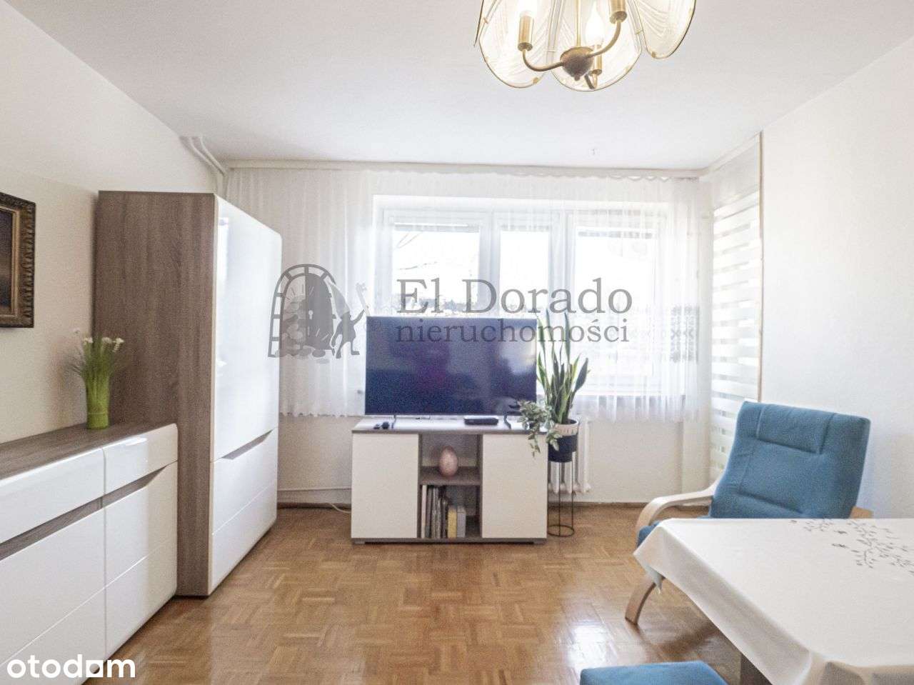 Przestronne mieszkanie z przepieknym balokem wśród-2