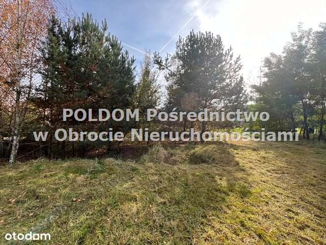 Działka budowlana 5747 m2/ Wilczyn k. Obornik Śl-4