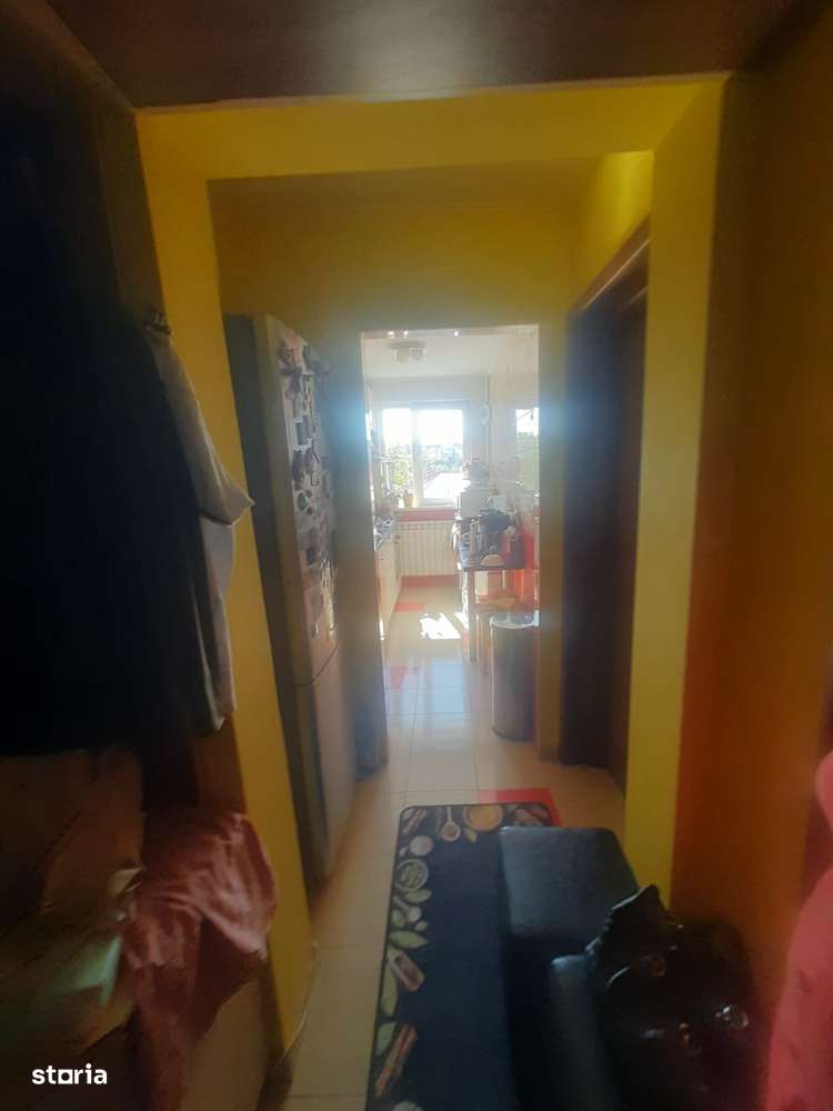 Drumul Taberei Favorit-14