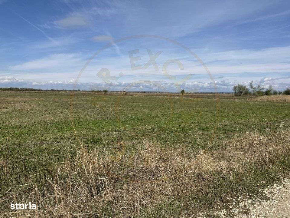 Teren intravilan 3700 mp  - zona linistita-0