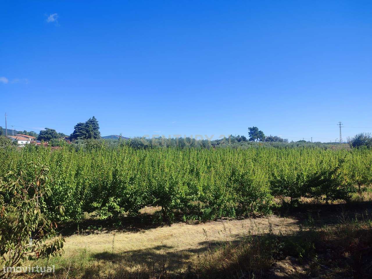 Fantástica Quinta, Alpedrinha - Grande imagem: 2/21