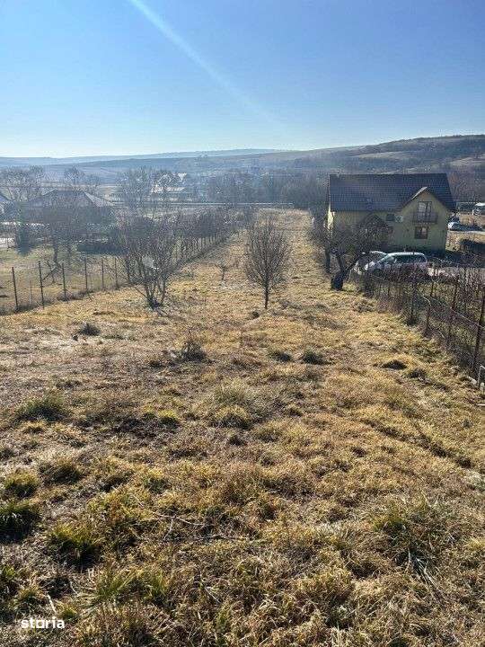 Teren intravilan pentru casa 2400 mp front 16ml Radaia sub pretul piet - Imagine principală: 2/5
