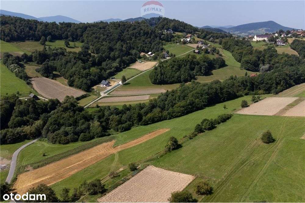 Grunty 5 400 m² – widok, las i działka z Wz - Pełny obrazek: 4/20