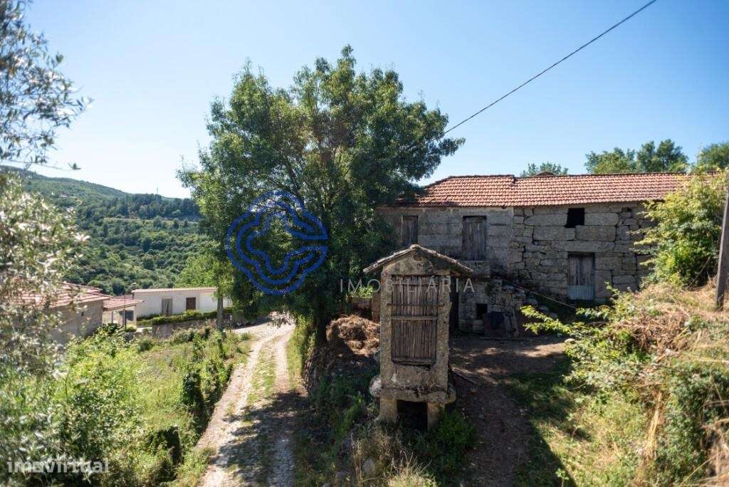 Casa em pedra | Quintal | Carneiro | Amarante - Grande imagem: 5/15